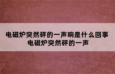 电磁炉突然砰的一声响是什么回事 电磁炉突然砰的一声